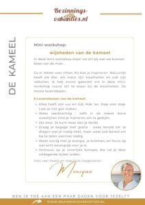 Kameel (2)